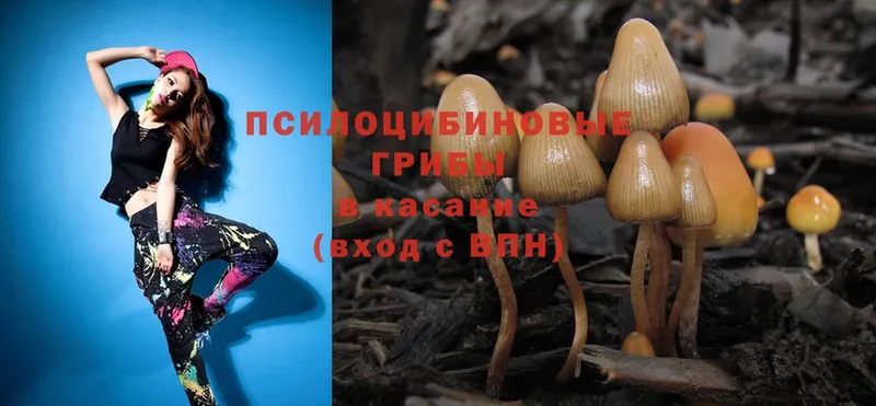 Галлюциногенные грибы Magic Shrooms  Дмитриев 